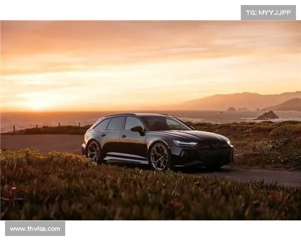 奥迪征战全球顶级赛事展现卓越性能与速度激情传奇 奥迪征战全球顶级赛事展现卓越性能与速度激情传奇